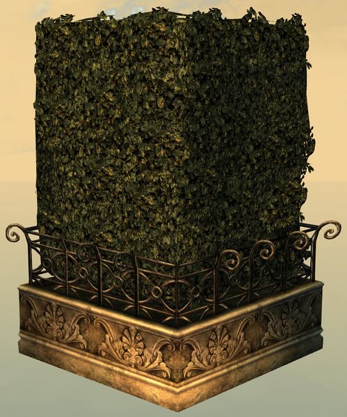 File:Hedge Corner back.jpg