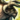 Mini Minotaur.png