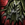Nightmare Court Sarong.png