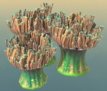 Underwater Anemone.jpg