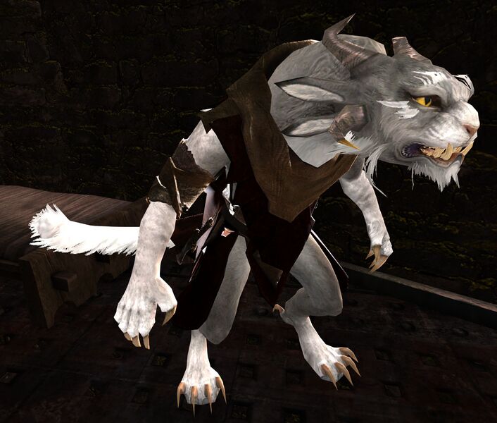 File:Veteran Insteia Burntseeker.jpg