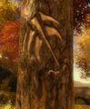 Charr trail sign - spine.jpg