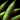 Green Bean.png