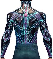 Infused Aurora Chestguard back.jpg