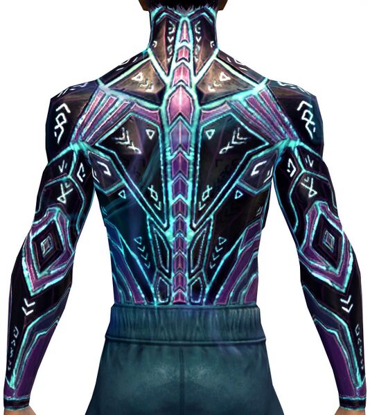 File:Infused Aurora Chestguard back.jpg
