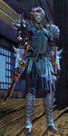 Pirate sylvari male 8.jpg