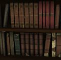 Shelved Book.jpg