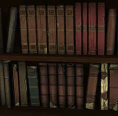 Shelved Book.jpg