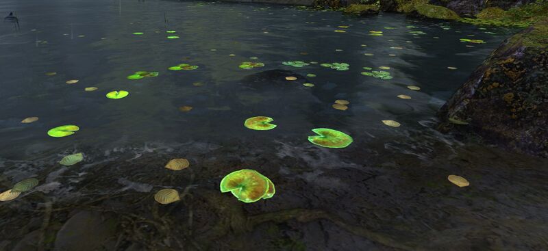 File:Stagnant Water.jpg