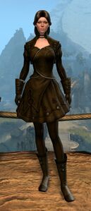 Appearance on light armor.