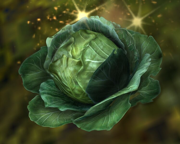 File:Wild Cabbage.jpg