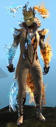 Frostfire Outfit