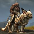 Kodan Landspeaker 1 rider.jpg