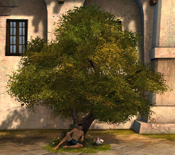 File:Quiet Woods Chair human male.jpg