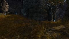 Tiger Tracks Leading into the Plains of Ashford.jpg