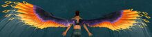 Canthan Phoenix Wings Glider.jpg