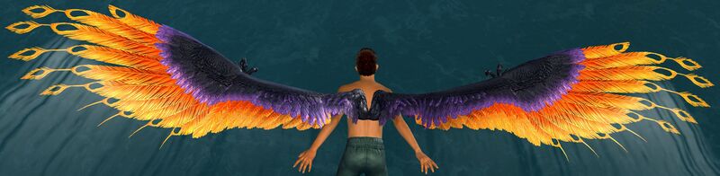 File:Canthan Phoenix Wings Glider.jpg