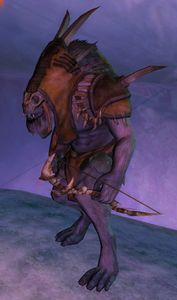 Collector (Merchant).jpg