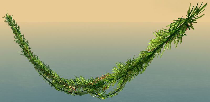 File:Draped Wintersday Garland.jpg