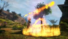 Firestorm Logging Tool.jpg