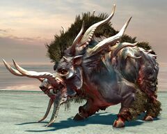 Gnarled Boar.jpg