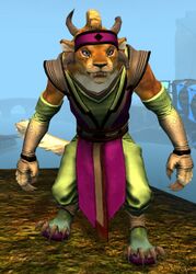 Heavy Monastery armor charr female front.jpg