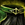 Heritage Pants.png