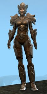 Appearance on heavy armor.
