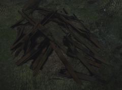 Debris (Viathan Lake).jpg