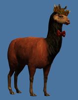 Mini Lavish Emperor Llama.jpg