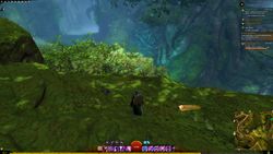 The view from the mask towards the temple door