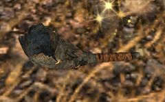 Ogre's Pet Horn.jpg