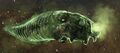 Risen Fish Carcass.jpg