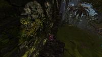 Run along the scaffolding