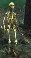 Skeleton (longbow).jpg