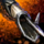 The Stingray.png