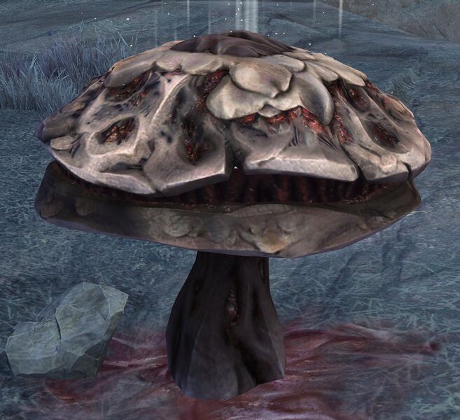 File:Bouncing Mushroom (Convergences).jpg