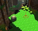 Dark Woods dig spot 13.jpg
