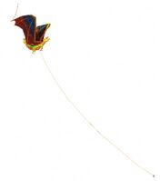 Dragon Bash Kite.jpg