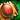Exquisite Coral Jewel.png