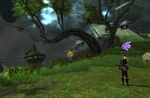 Illuminating Skywatch Archipelago - 08 Skywatch Lookout location.jpg
