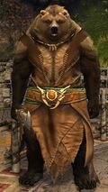 Kodan Landspeaker 2 spear.jpg