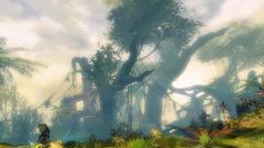 Uprooted Paradise.jpg