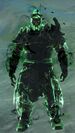 Medium armor norn male