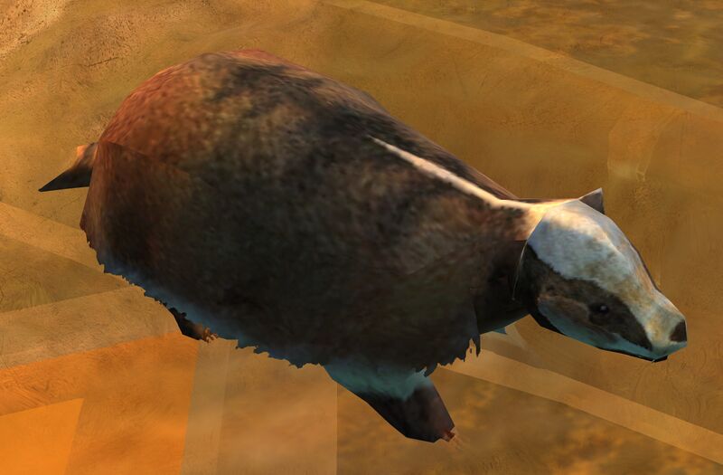 File:Badger (ambient creature).jpg