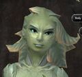 Exclusive hair - sylvari female 8.jpg