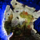 Flying Lesson—Domain of Istan.png