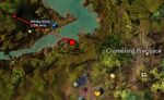 Gwyl Rings - coconut map.jpg