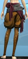 Heavy Corsair Leggings back.jpg
