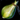 Heirloom Seed Pouch.png